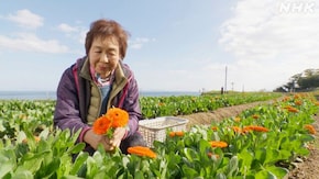 「新しい風 薫る島 ~兵庫県 淡路島~」