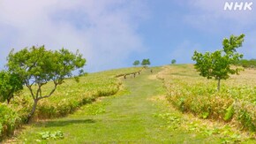 「じいの山 つづく ~北海道 西別岳~」