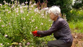 「花咲く丘で ~富山市 呉羽丘陵~」