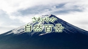 神奈川 真鶴半島
