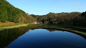 鳥取 日野川
