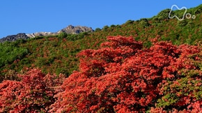北海道 恵山