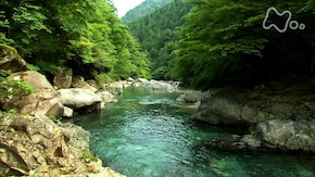 長野 阿寺渓谷