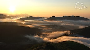 北海道 占冠の森