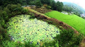 兵庫 宝塚 西谷の里