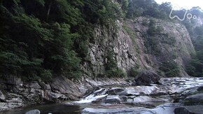 石鎚山麓 面河渓