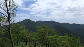 丹沢山地