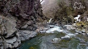 多摩川源流域
