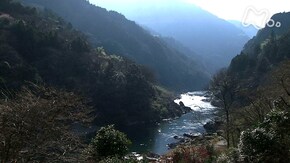 吉野川上流 春