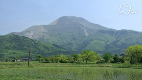伊吹山 春