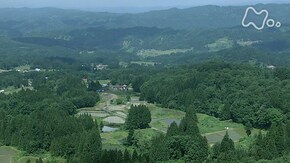 新潟 松之山