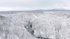 「早春 北海道 千歳川」