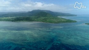 「沖縄 西表島 水の世界」