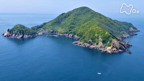 「高知 鵜来島」