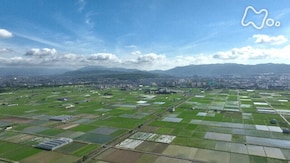 「京都 巨椋池跡の田園地帯」