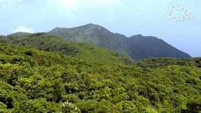 「鹿児島 稲尾岳」
