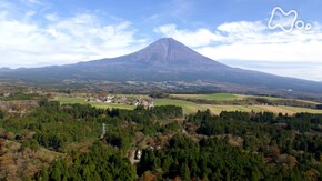 「富士山西麓 清流と湿原」