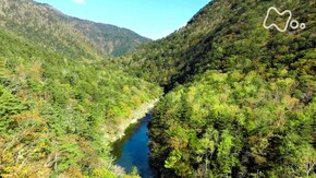 「北海道 南日高の渓谷」