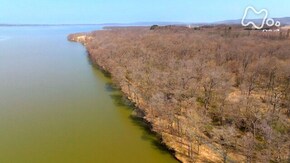 北海道 網走湖畔の森