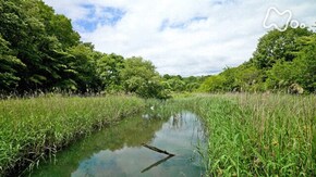 埼玉 北本の谷戸