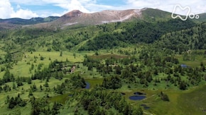 草津白根山 山麓の湿地群