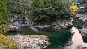 紀伊半島 古座川