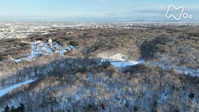 北海道 雪が覆った野幌森林公園