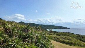 春 沖縄 石垣島の海