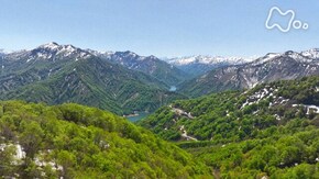 福島 只見 ブナの森