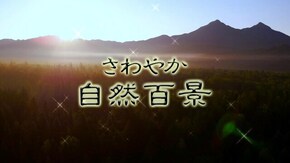 北海道 清流 尻別川