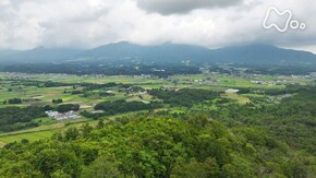 岡山 蒜山(ひるぜん)の森と草原