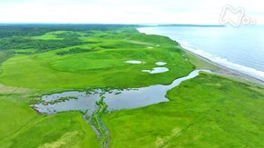 北海道 ホロニタイ湿原
