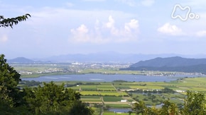 滋賀 西の湖