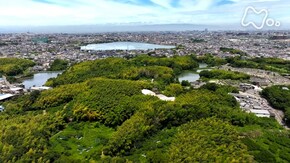大阪 泉州のため池