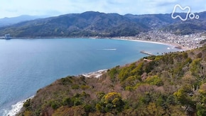伊豆半島 宇佐美の海