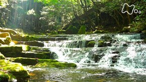 三重 赤目四十八滝