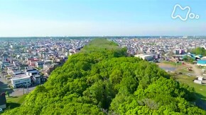 北海道 石狩平野の防風林