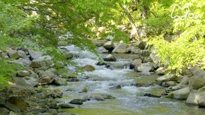 北海道 ニカンベツ川 夏