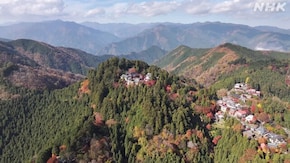 東京 御岳山 秋から冬