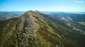 茨城 筑波山 冬から早春