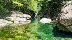 愛媛 面河渓 春から初夏