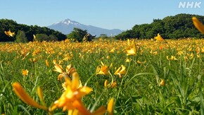 青森 屏風山湿原池沼群