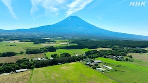 富士山麓 朝霧高原