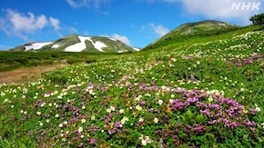 大雪山系 夏