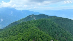 山梨 櫛形山