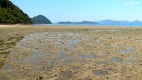 広島 ハチの干潟 夏