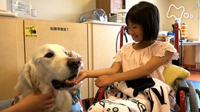 「ベイリーとゆいちゃん」