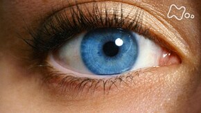 「わたしたちの“目”が危ない 超近視時代サバイバル」