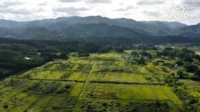 「被曝(ばく)の森2021 変わりゆく大地」