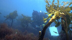 「被災の海 未来をどう築くか」
